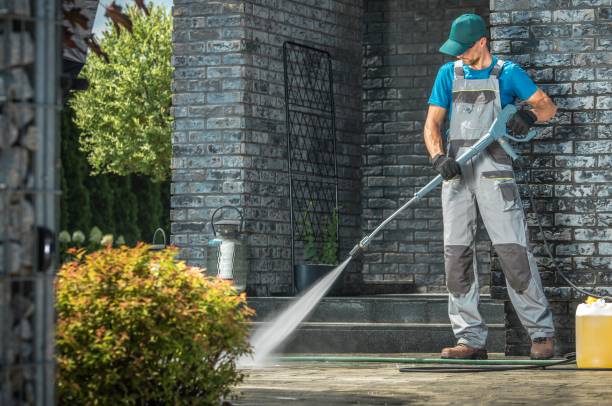 Best Solar Panel Cleaning  in Robert Lee, TX